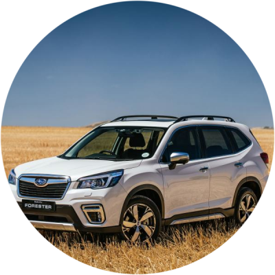 Отзывы на ремонт Покраска автомобиля Subaru Forester